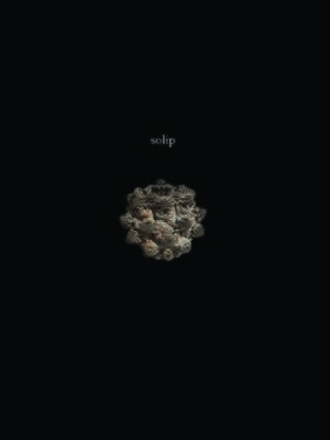 cover image of Solip